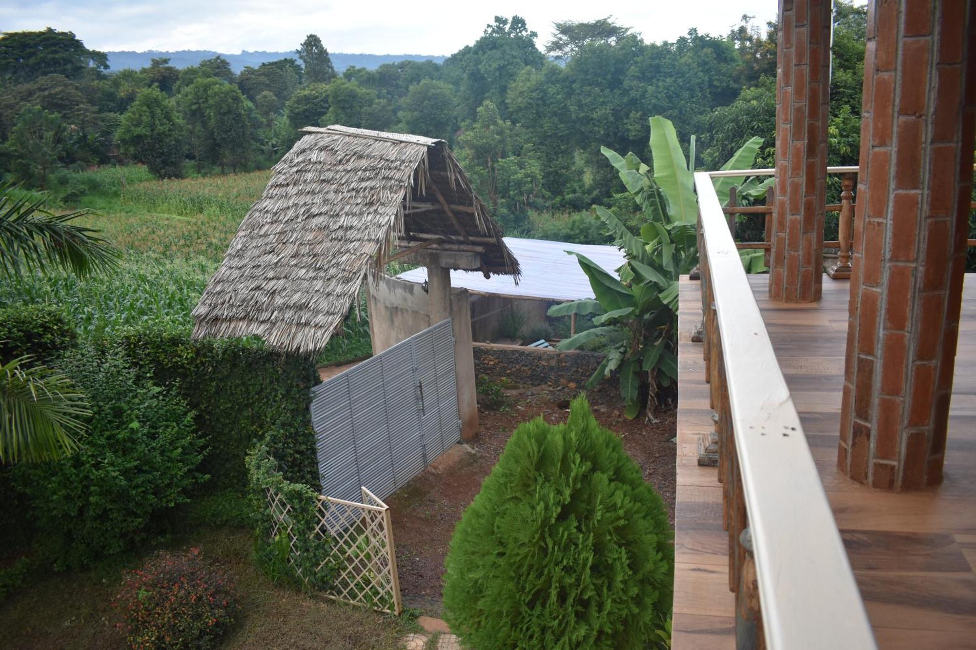 Kilimanjaro Accommodation Msaranga Extérieur photo