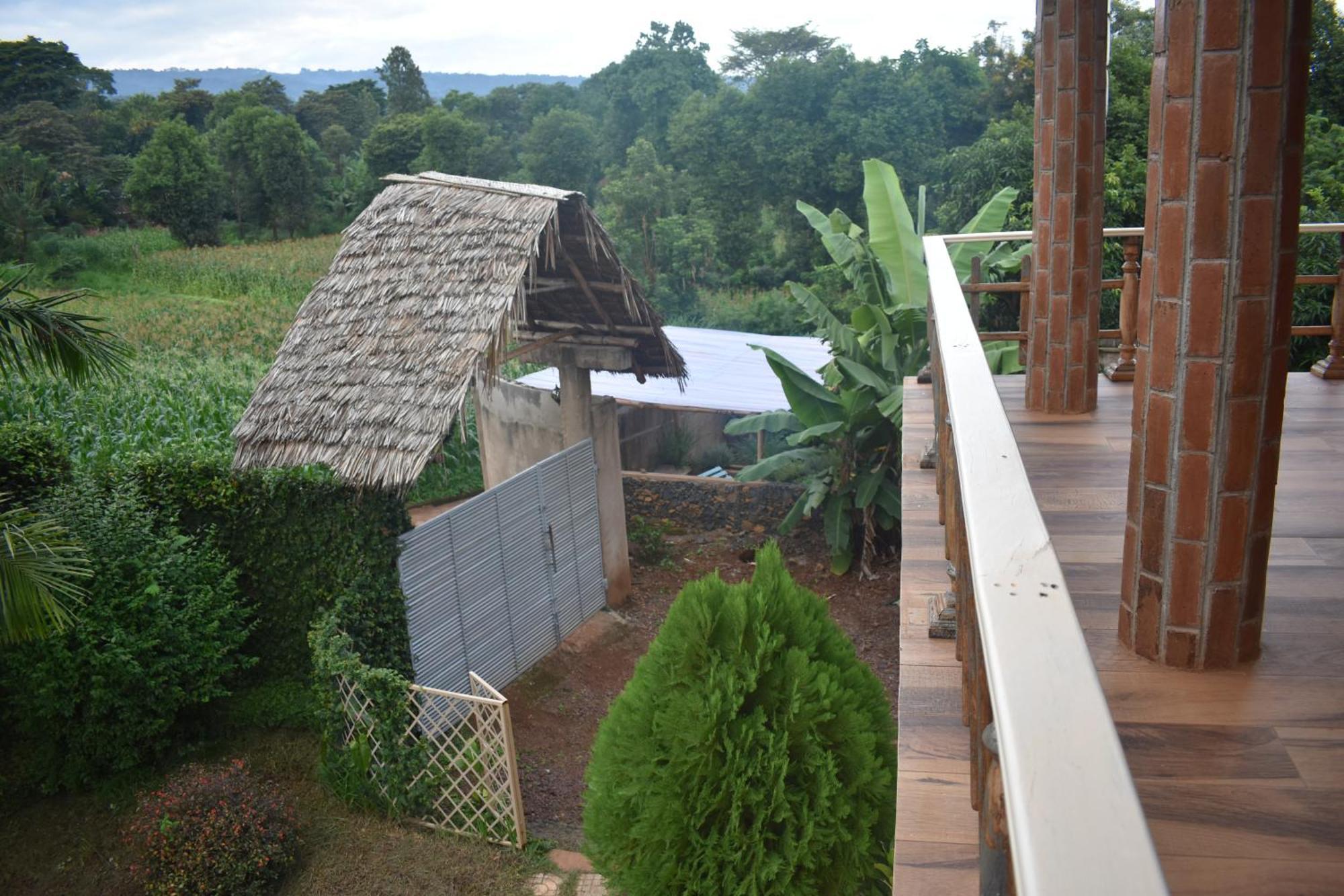 Kilimanjaro Accommodation Msaranga Extérieur photo