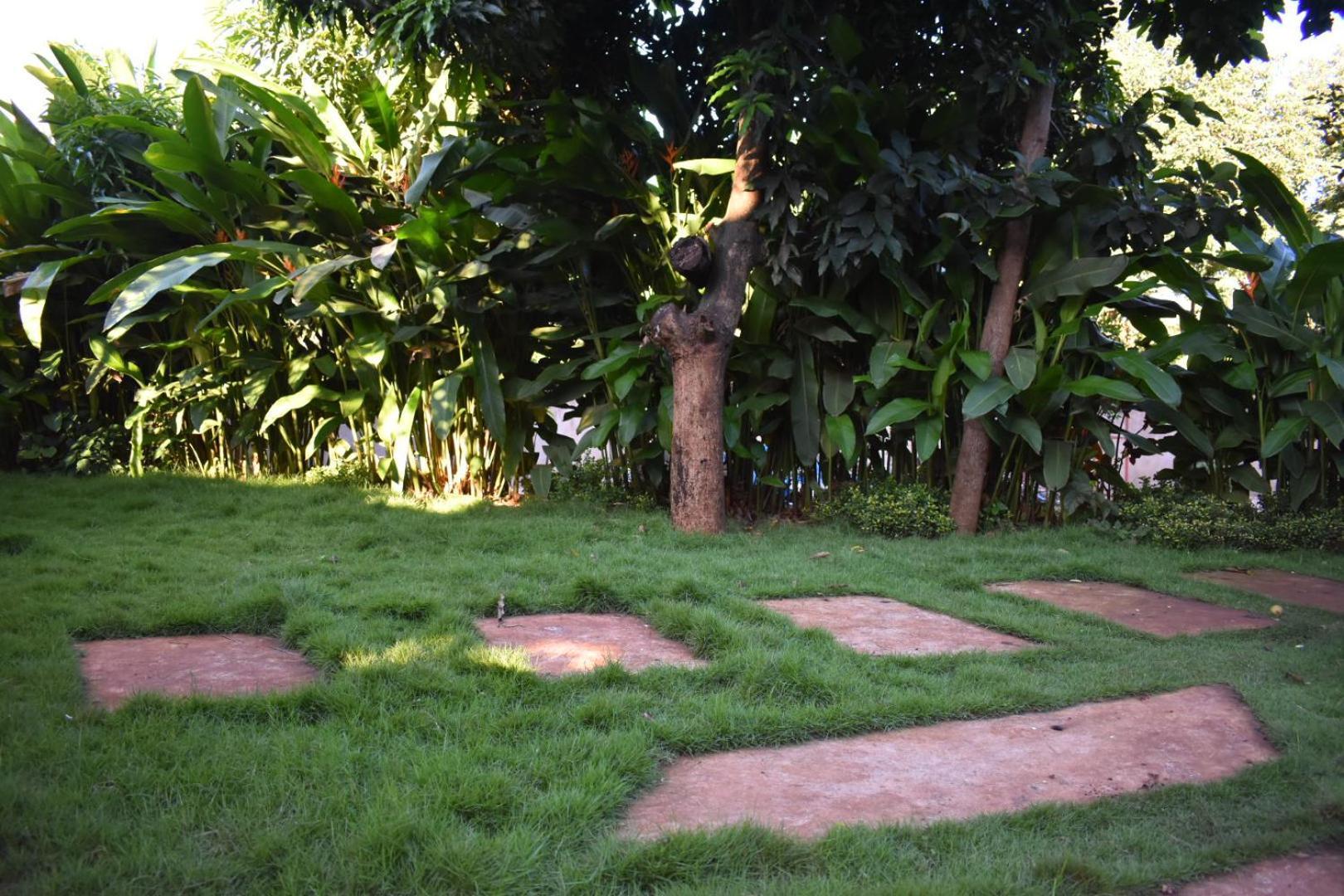 Kilimanjaro Accommodation Msaranga Extérieur photo
